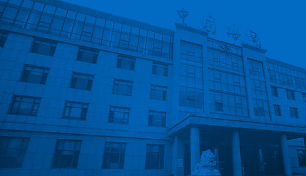 機場海關(guān)網(wǎng)站建設(shè)